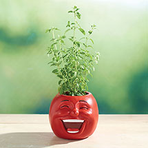 Alternate image Carrot Veggie Herb Pot