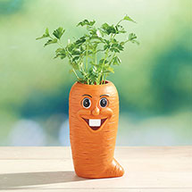 Alternate Image 3 for Carrot Veggie Herb Pot