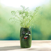 Alternate Image 4 for Carrot Veggie Herb Pot