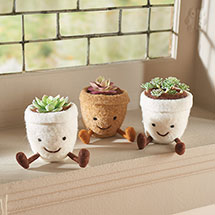 Product Image for Felted Faux Succulent Sitters