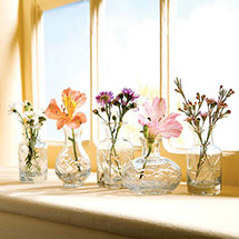 Product Image for Quintet Petit Clear Glass Vases