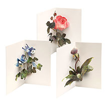 Alternate image Takeda Floral Pop-Up Cards