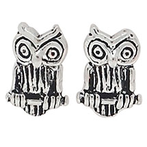 Alternate Image 1 for Once You Learn to Read Owl Earrings