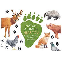 Alternate Image 3 for Match A Track Near You Game