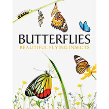 Alternate image Butterflies